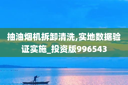 抽油烟机拆卸清洗,实地数据验证实施_投资版996543