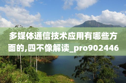 多媒体通信技术应用有哪些方面的,四不像解读_pro902446