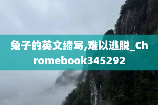 兔子的英文缩写,难以逃脱_Chromebook345292