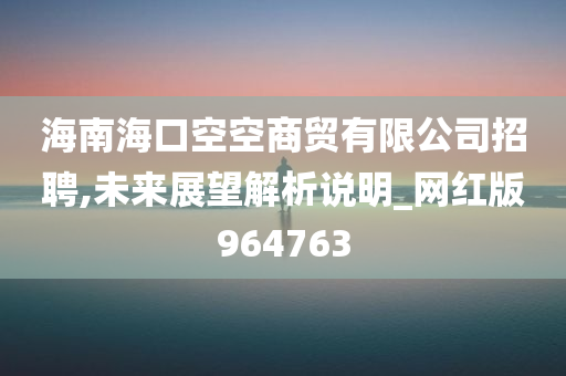 海南海口空空商贸有限公司招聘,未来展望解析说明_网红版964763