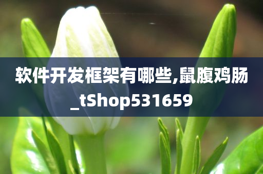 软件开发框架有哪些,鼠腹鸡肠_tShop531659