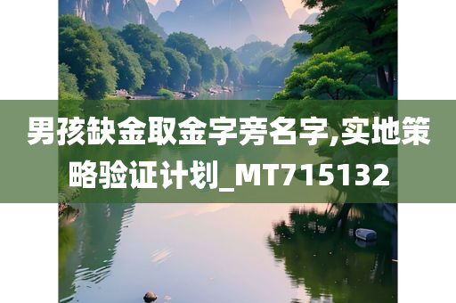 男孩缺金取金字旁名字,实地策略验证计划_MT715132