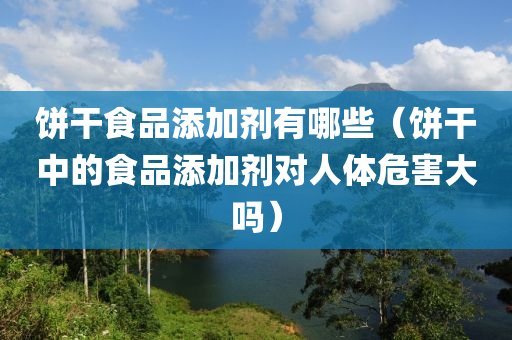 饼干食品添加剂有哪些（饼干中的食品添加剂对人体危害大吗）