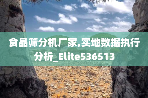 食品筛分机厂家,实地数据执行分析_Elite536513