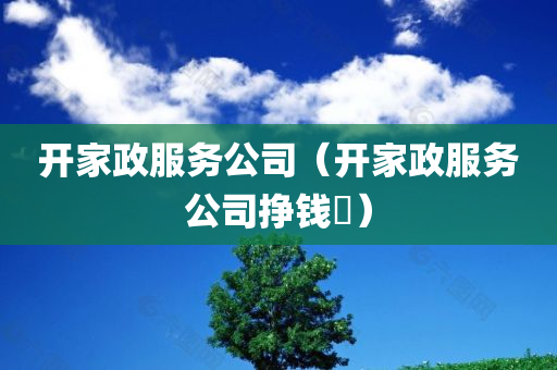 开家政服务公司（开家政服务公司挣钱吿）