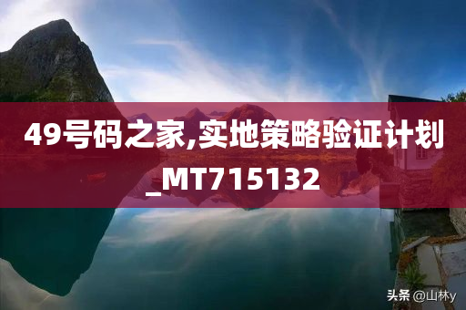 49号码之家,实地策略验证计划_MT715132