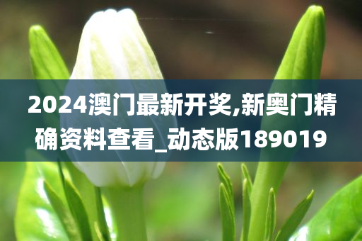 2024澳门最新开奖,新奥门精确资料查看_动态版189019