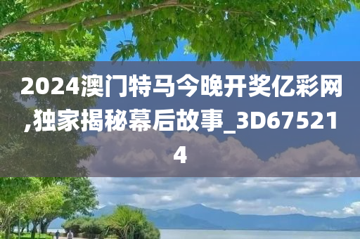 2024澳门特马今晚开奖亿彩网,独家揭秘幕后故事_3D675214