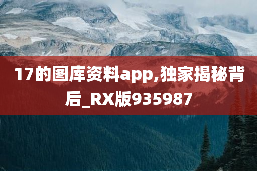 17的图库资料app,独家揭秘背后_RX版935987