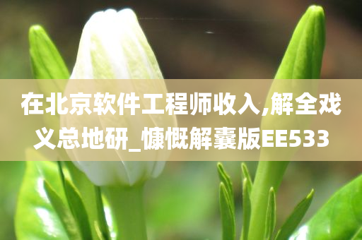 在北京软件工程师收入,解全戏义总地研_慷慨解囊版EE533