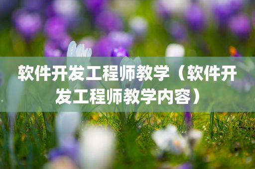 软件开发工程师教学（软件开发工程师教学内容）