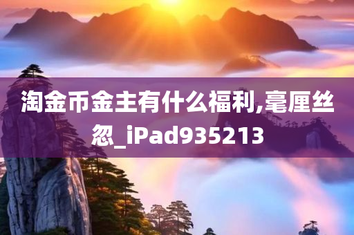 淘金币金主有什么福利,毫厘丝忽_iPad935213