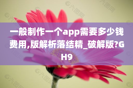 一般制作一个app需要多少钱费用,版解析落结精_破解版?GH9