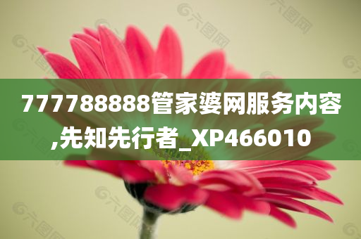 777788888管家婆网服务内容,先知先行者_XP466010