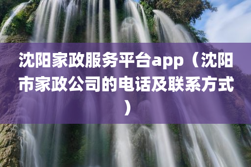 沈阳家政服务平台app（沈阳市家政公司的电话及联系方式）