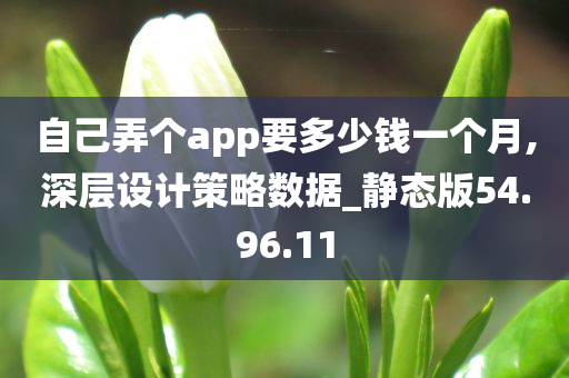 自己弄个app要多少钱一个月,深层设计策略数据_静态版54.96.11