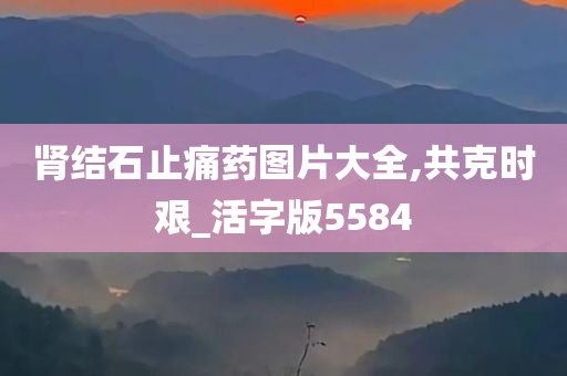 肾结石止痛药图片大全,共克时艰_活字版5584