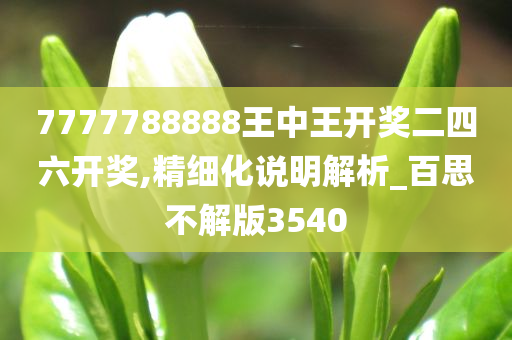 7777788888王中王开奖二四六开奖,精细化说明解析_百思不解版3540