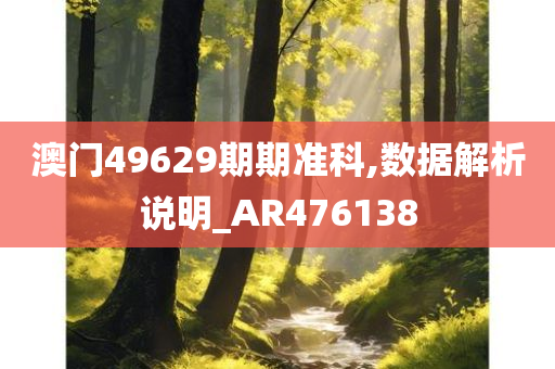 澳门49629期期准科,数据解析说明_AR476138