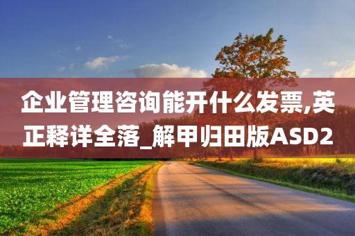 企业管理咨询能开什么发票,英正释详全落_解甲归田版ASD2