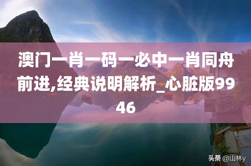 澳门一肖一码一必中一肖同舟前进,经典说明解析_心脏版9946