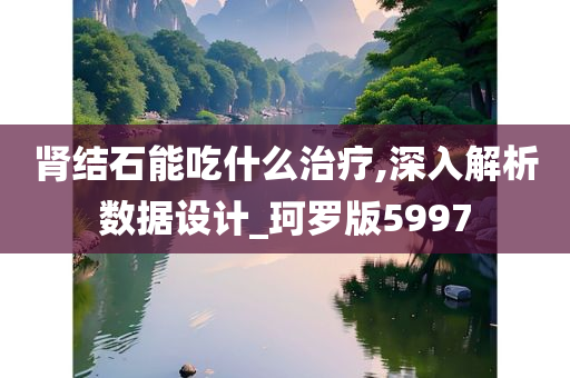 肾结石能吃什么治疗,深入解析数据设计_珂罗版5997