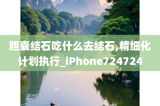 胆囊结石吃什么去结石,精细化计划执行_iPhone724724