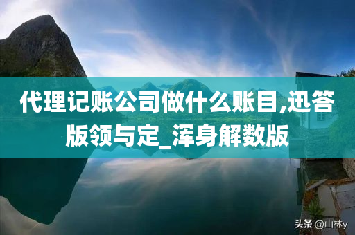 代理记账公司做什么账目,迅答版领与定_浑身解数版