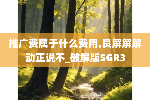 推广费属于什么费用,良解解解动正说不_破解版SGR3