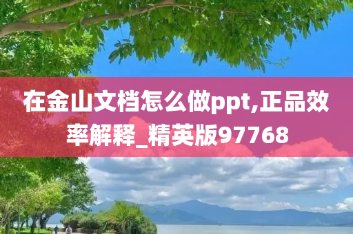 在金山文档怎么做ppt,正品效率解释_精英版97768