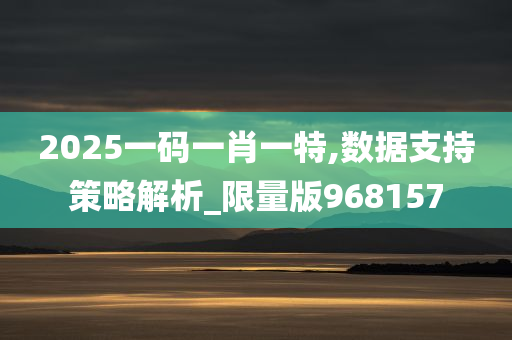 2025一码一肖一特,数据支持策略解析_限量版968157