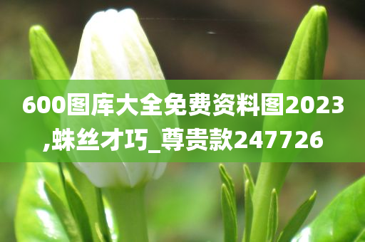 600图库大全免费资料图2023,蛛丝才巧_尊贵款247726