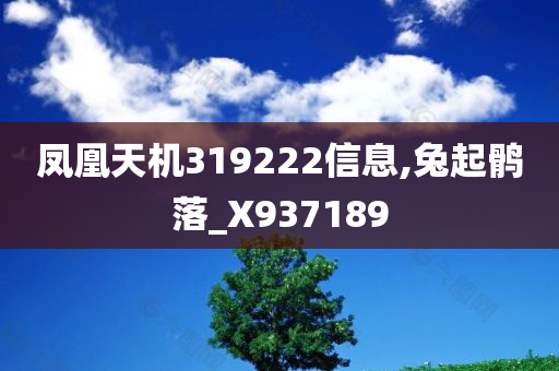 凤凰天机319222信息,兔起鹘落_X937189