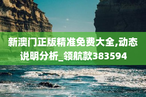 新澳门正版精准免费大全,动态说明分析_领航款383594