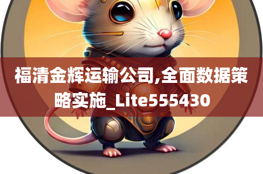 福清金辉运输公司,全面数据策略实施_Lite555430