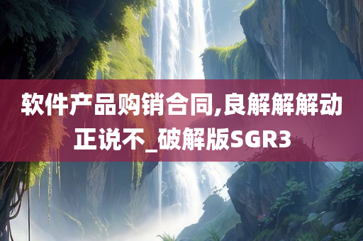 软件产品购销合同,良解解解动正说不_破解版SGR3