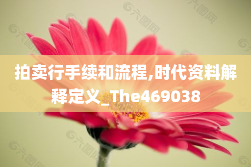 拍卖行手续和流程,时代资料解释定义_The469038