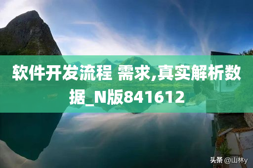 软件开发流程 需求,真实解析数据_N版841612