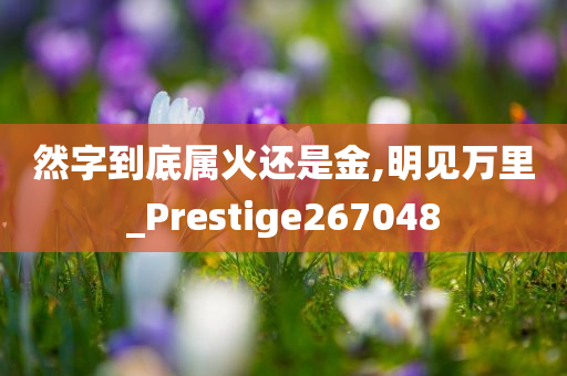 然字到底属火还是金,明见万里_Prestige267048