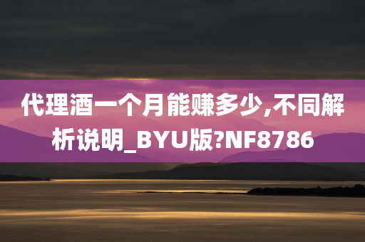 代理酒一个月能赚多少,不同解析说明_BYU版?NF8786