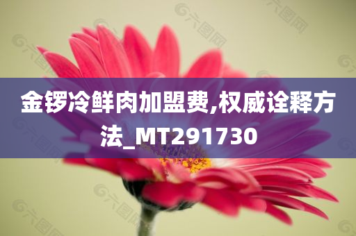 金锣冷鲜肉加盟费,权威诠释方法_MT291730