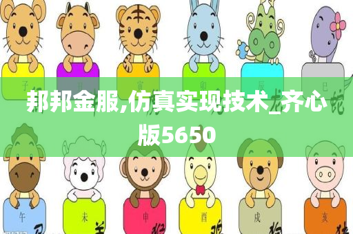 邦邦金服,仿真实现技术_齐心版5650