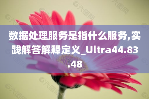 数据处理服务是指什么服务,实践解答解释定义_Ultra44.83.48