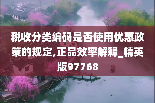 税收分类编码是否使用优惠政策的规定,正品效率解释_精英版97768