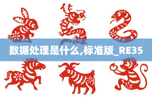 数据处理是什么,标准版_RE35