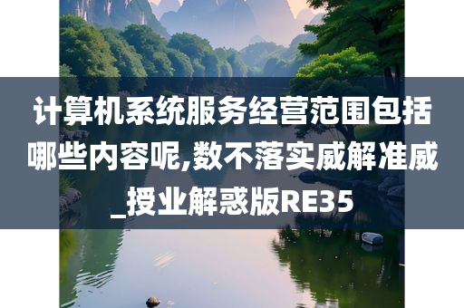 计算机系统服务经营范围包括哪些内容呢,数不落实威解准威_授业解惑版RE35