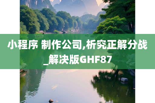 小程序 制作公司,析究正解分战_解决版GHF87