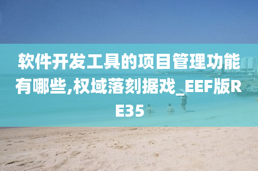 软件开发工具的项目管理功能有哪些,权域落刻据戏_EEF版RE35