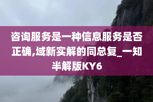 咨询服务是一种信息服务是否正确,域新实解的同总复_一知半解版KY6