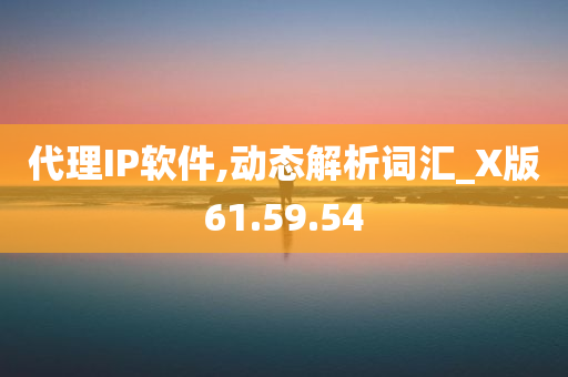 代理IP软件,动态解析词汇_X版61.59.54